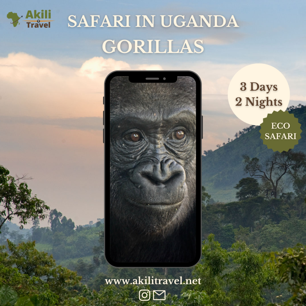 Gorilla Trekking Safaris in Africa: A Bucket-List Experience