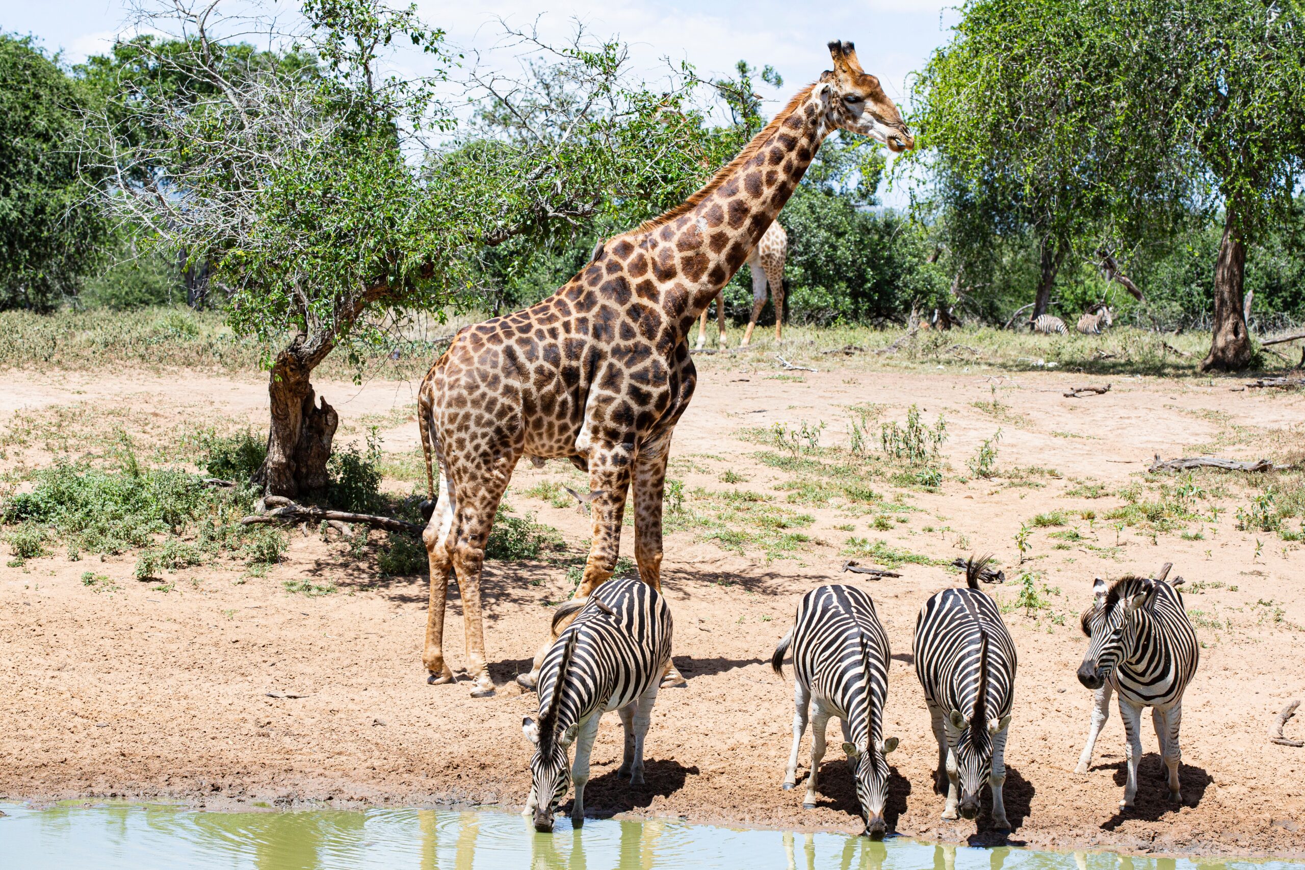 Cultural Safari Experiences in Kenya with Akili Travel